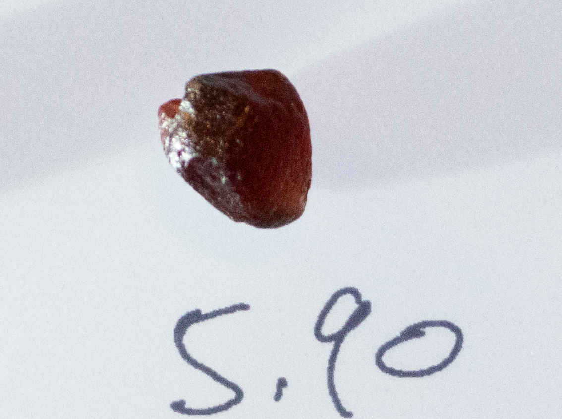 Dark Red Color Garnet  VVS Rough  5.90 cts. b