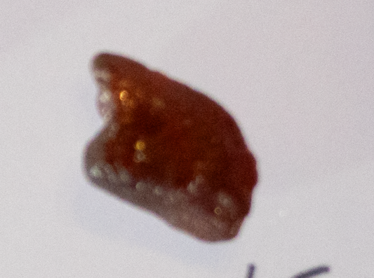 Dark Red Color Garnet  VVS  Rough  6.45 cts.